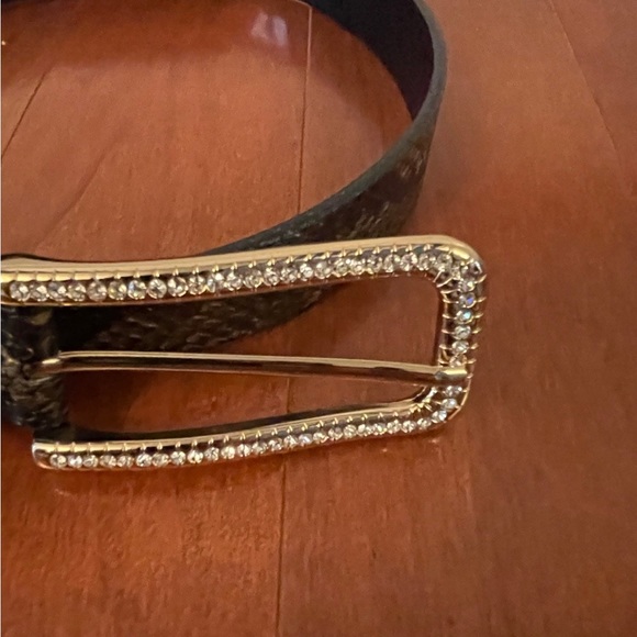 Express Belt - Picture 3 of 6